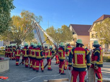 Maibaum 2026